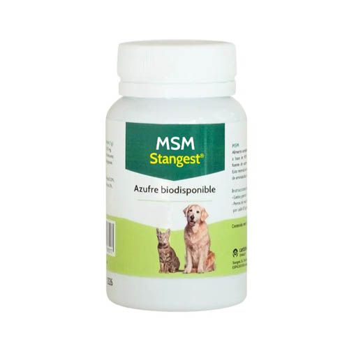 M.S.M. Stangest