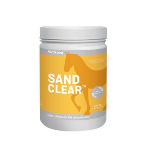 Sandclear Pferde