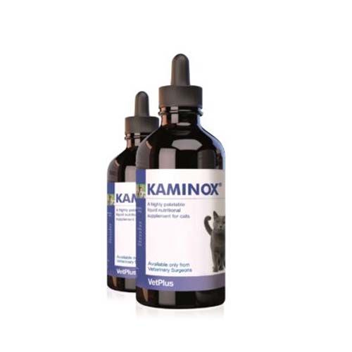 Kaminox Katzen