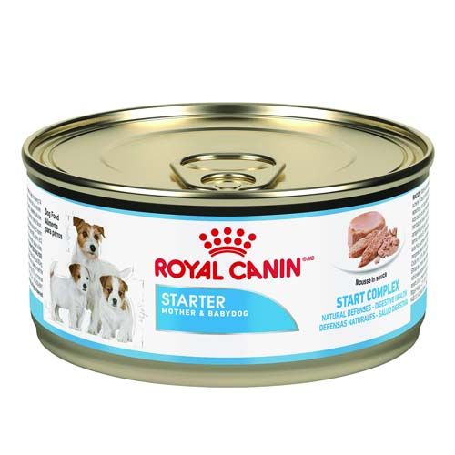 Royal Canin Dog Starter Mother & Babydog (Dosen) 195 gr x 12
