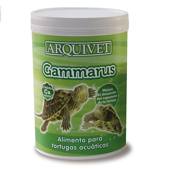 Arquivet Gammarus tortugas (Lieferung 3 - 5 Tages)
