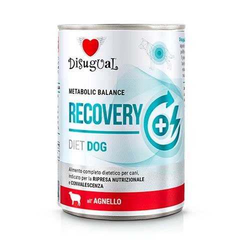 Disugual Dog Diet Recovery Lamb - 6 x 400 gr