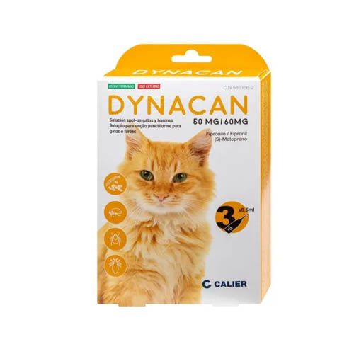Dynacan cats - 3 pip