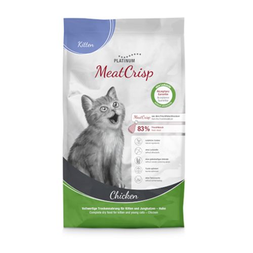 Platinum Cat Kitten Chicken